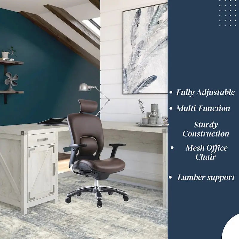 Fauteuil de bureau de direction Ergolux en cuir véritable avec support lombaire